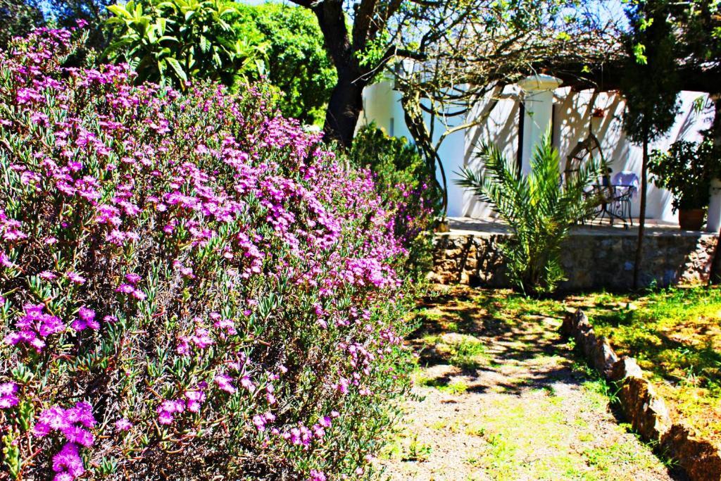 Agroturismo Can Fuster Sant Joan De Labritja Luaran gambar